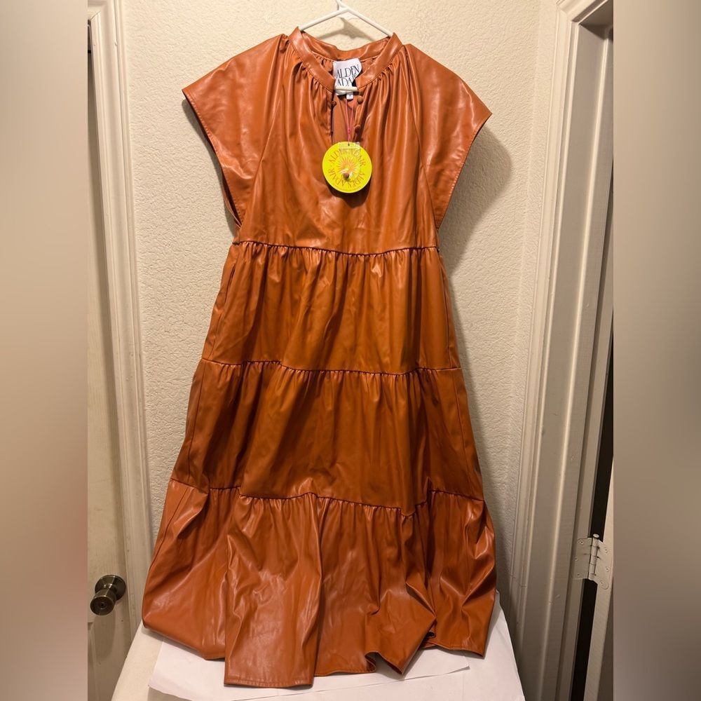 Alden Adair pippa Terracotta Midi Dress - Picture 6 of 7